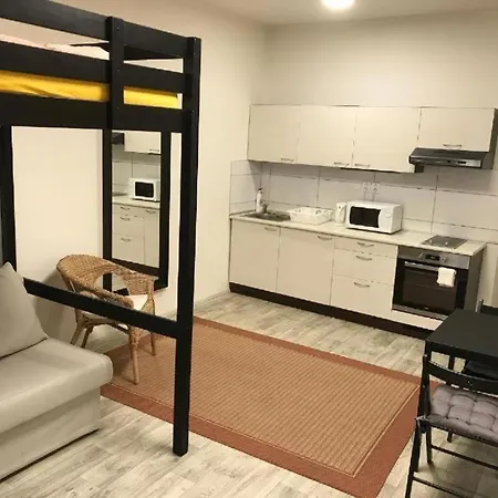 Apartment Apartmans For 2 Or 6 Peoples 12 Min By Walk From The Center Brno